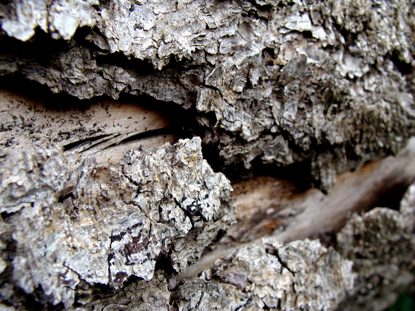 Bark macro