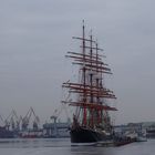 Bark Sedov