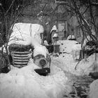 Barkas im Schnee