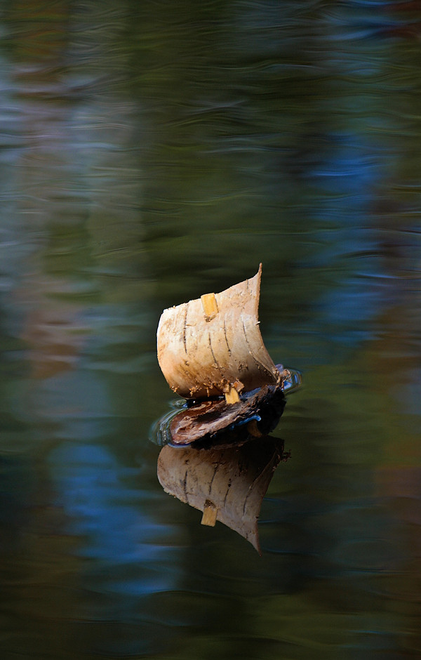 Barkboat