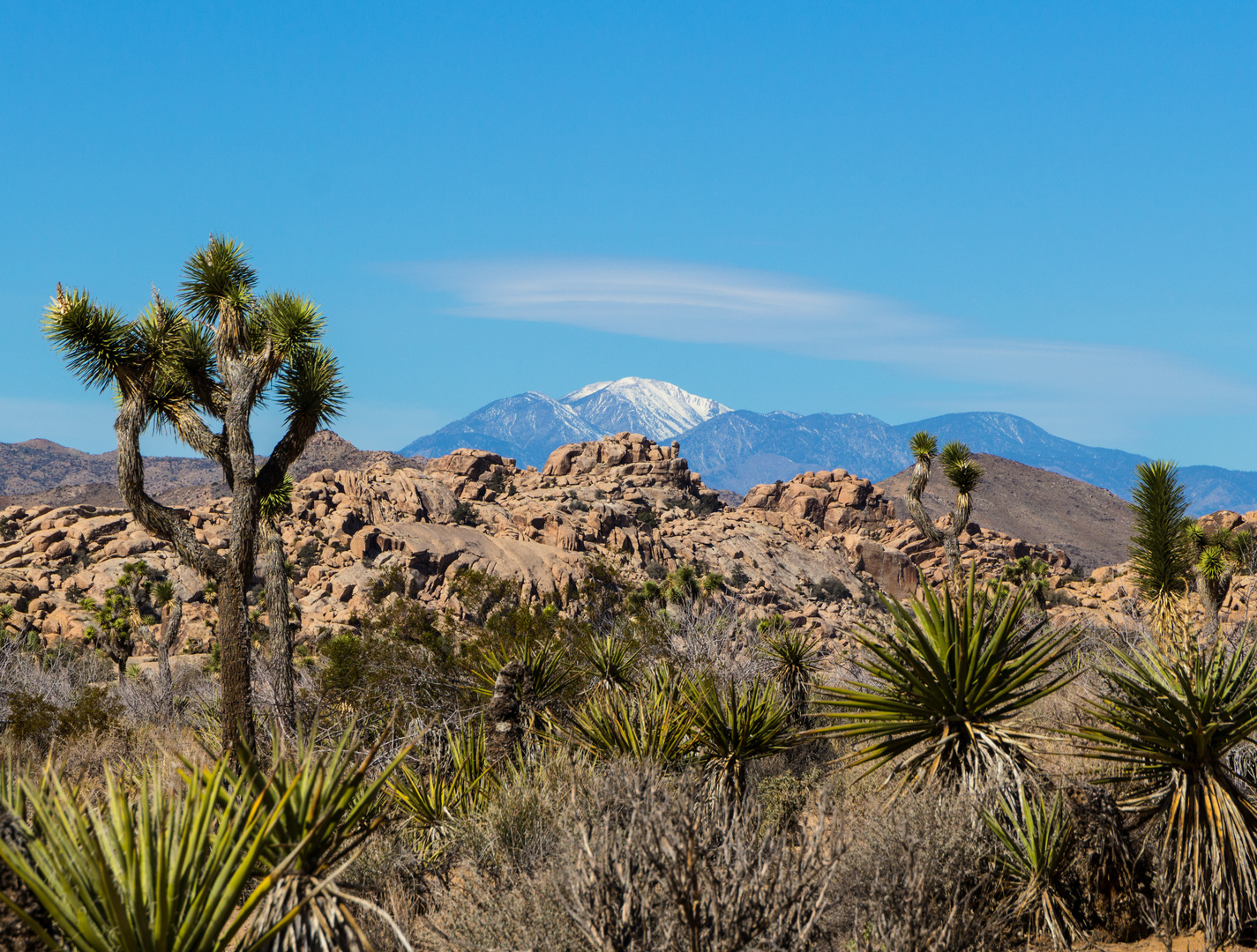 Barker dam trail