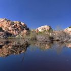 Barker Dumb panorama