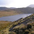 Barley Lake mit Schaf