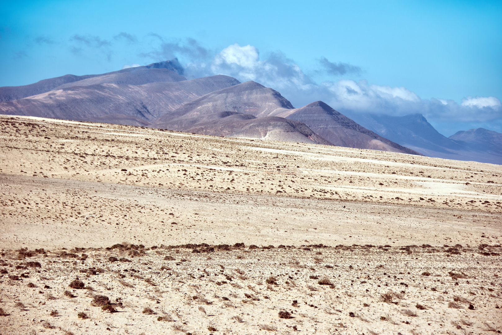 Barlovento . Foto & Bild europe, canary islands die kanaren, spain