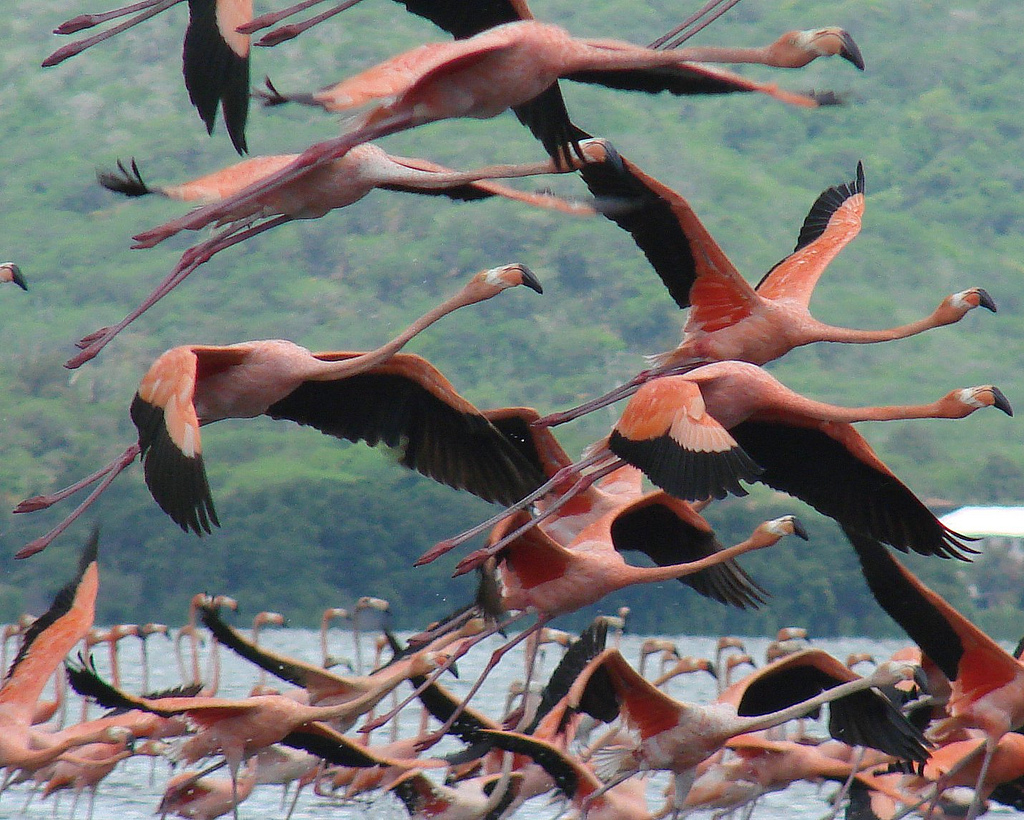 BarloventoMagico . Autor : Eduardo en Flickr