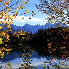 Barmsee framed by Autumn Trees