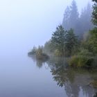 Barmsee im Nebel