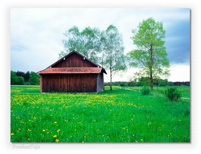 Barn