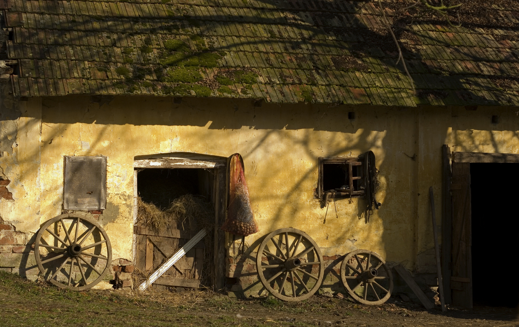 Barn