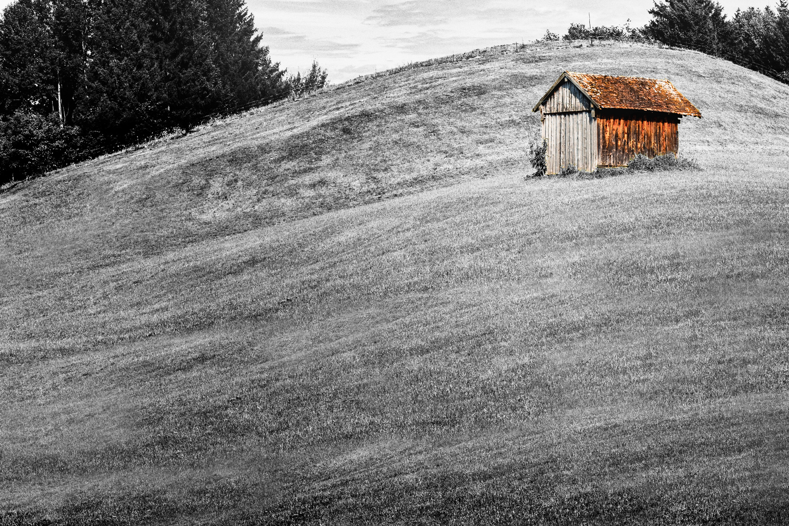 ... barn ...