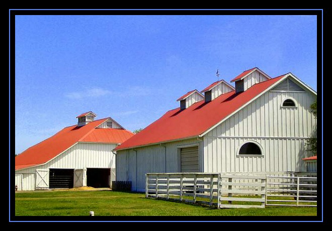 Barn