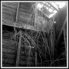 barn entrails