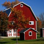 Barn & Fall Colors