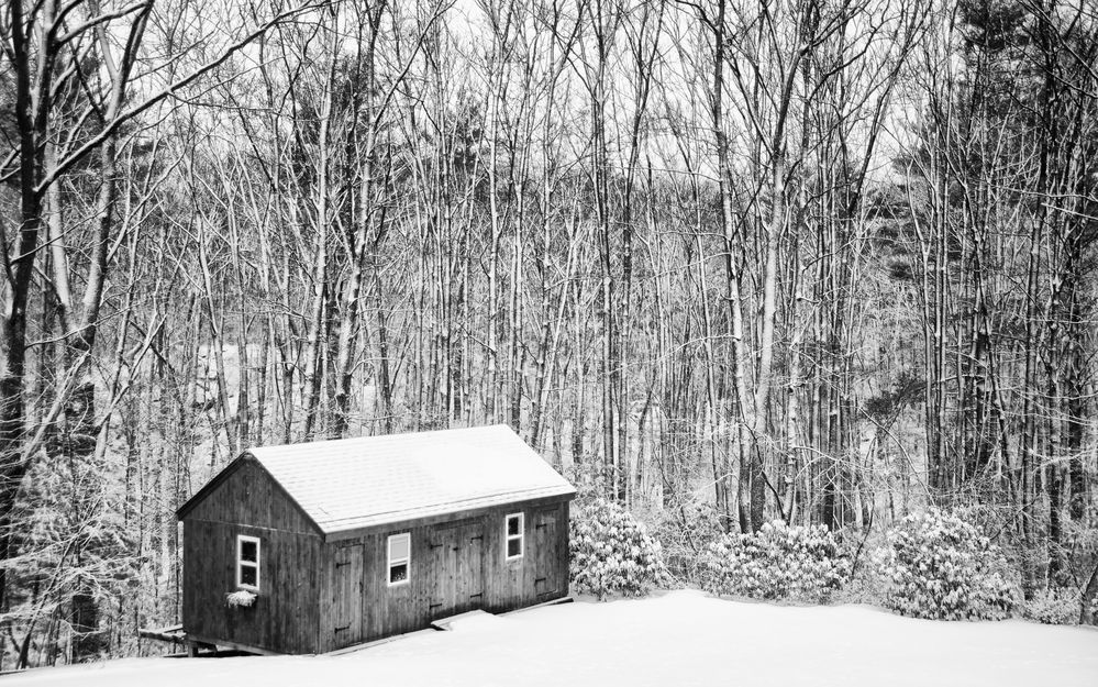 Barn in the cold