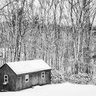 Barn in the cold