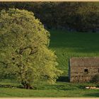 barn near Ivelet 4