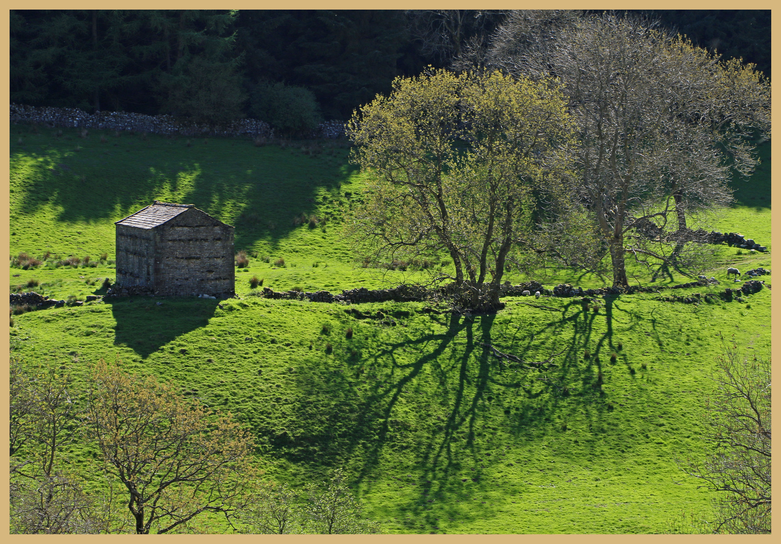 barn near Muker 3