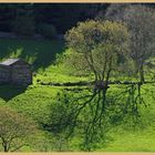 barn near Muker 3