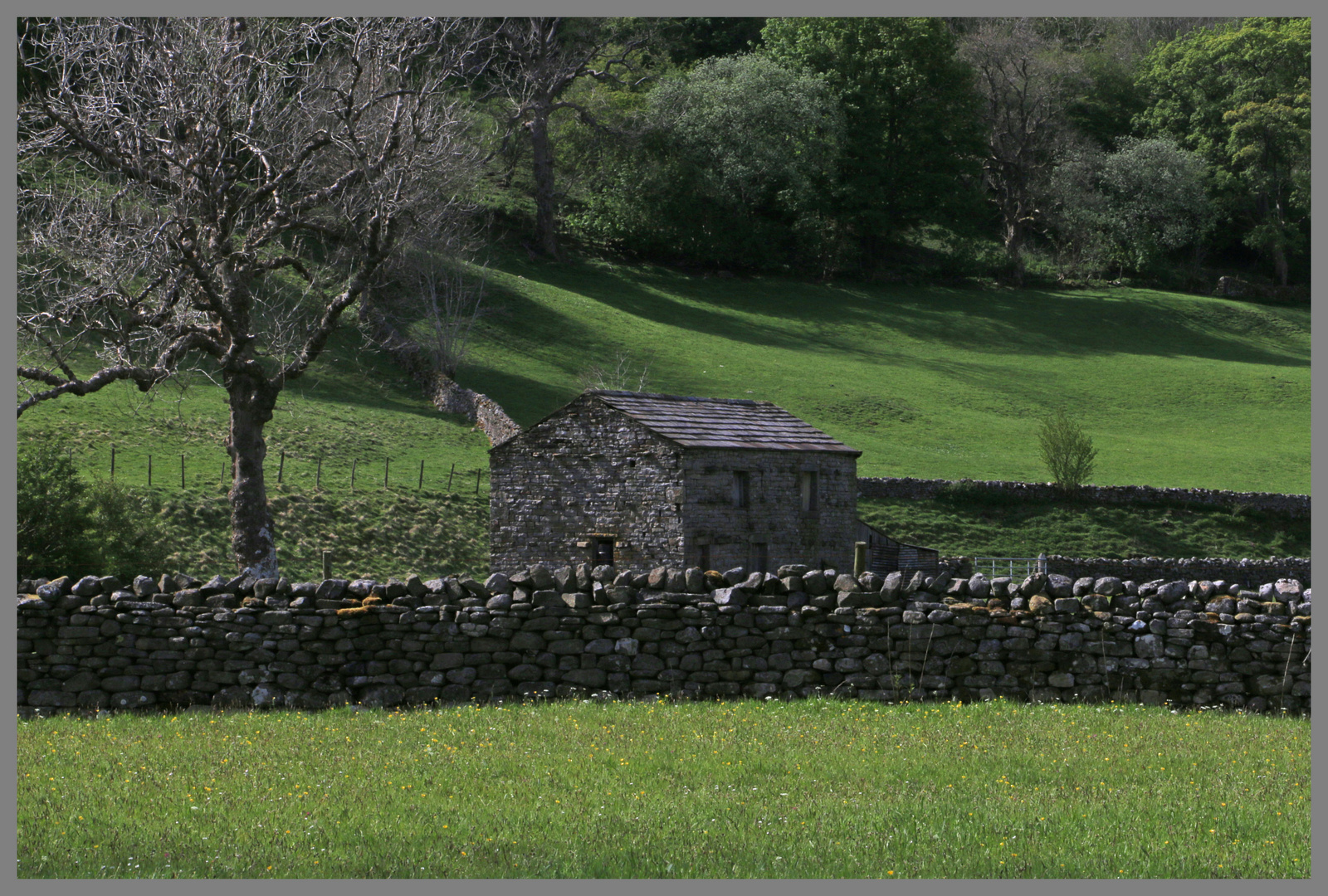 barn near Muker in Swaledale in Yorkshire