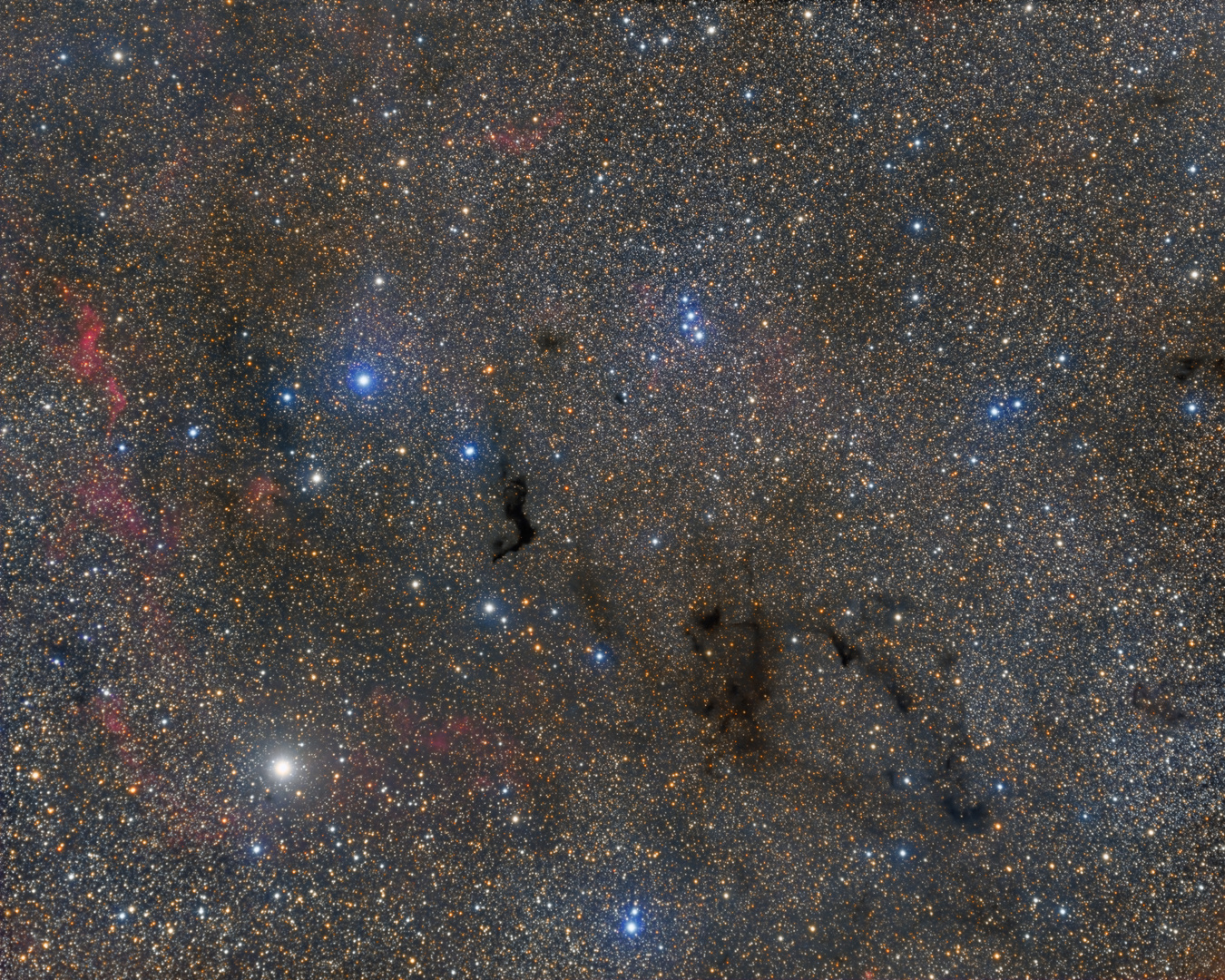 Barnard 174 and Friends