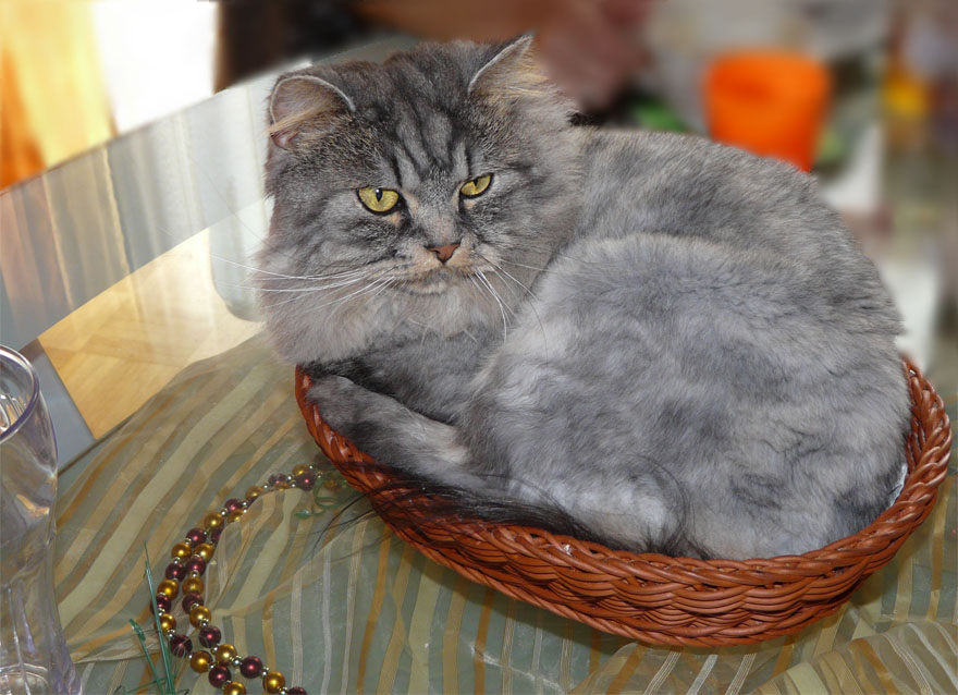 Barney beim Katerfrühstück