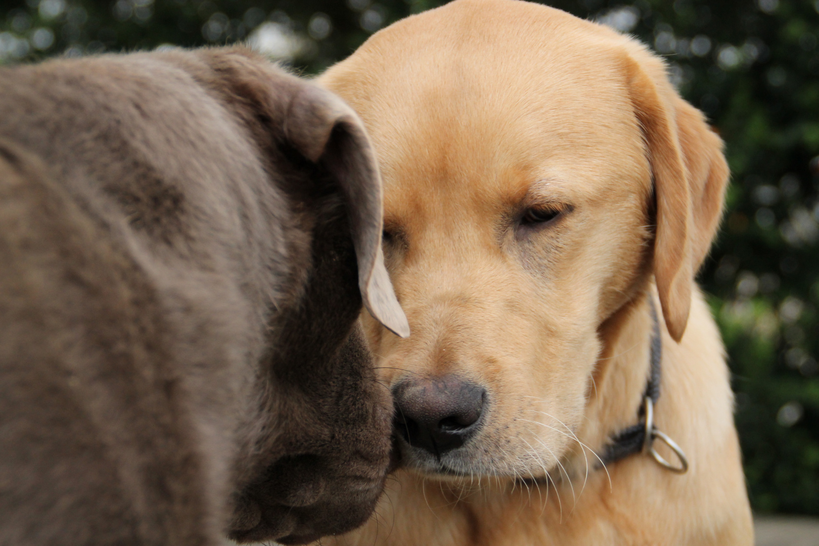 Barney und Eddie