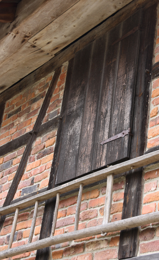 Barnhouse door with ladder