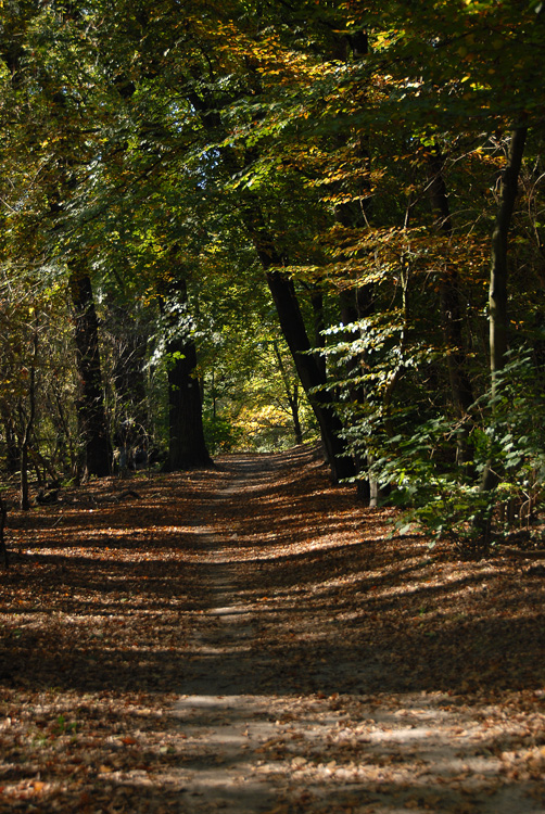 Barnimer Dörferweg