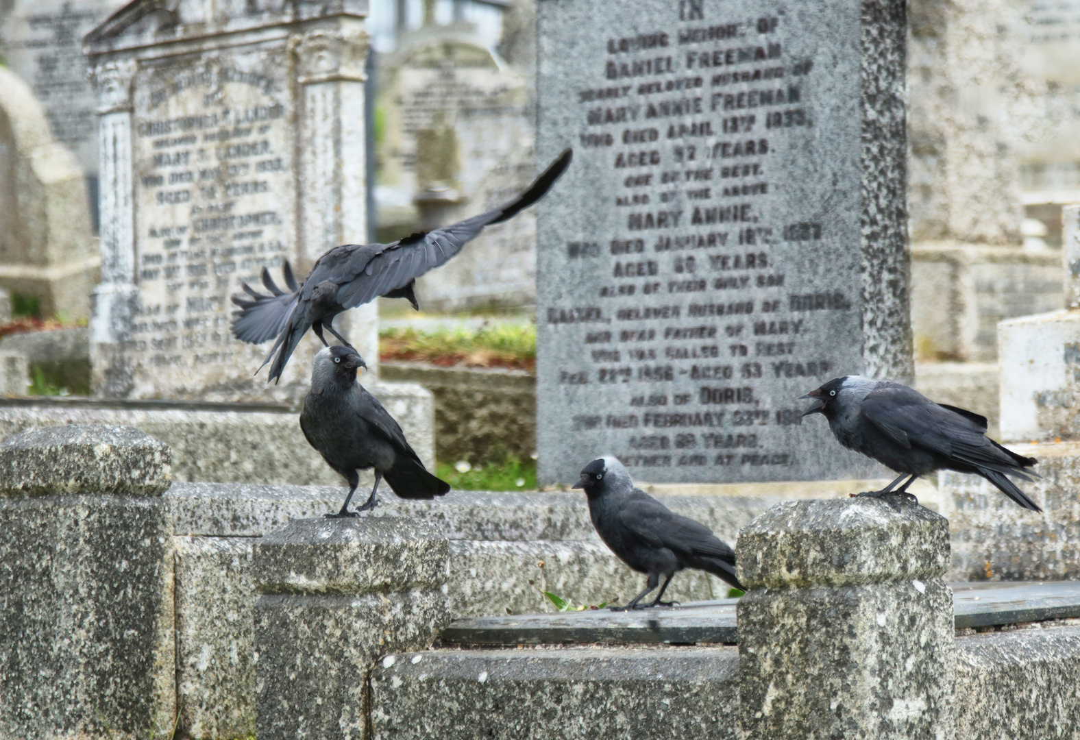 Barnoon Cemetery