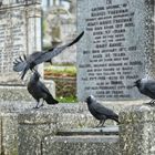 Barnoon Cemetery