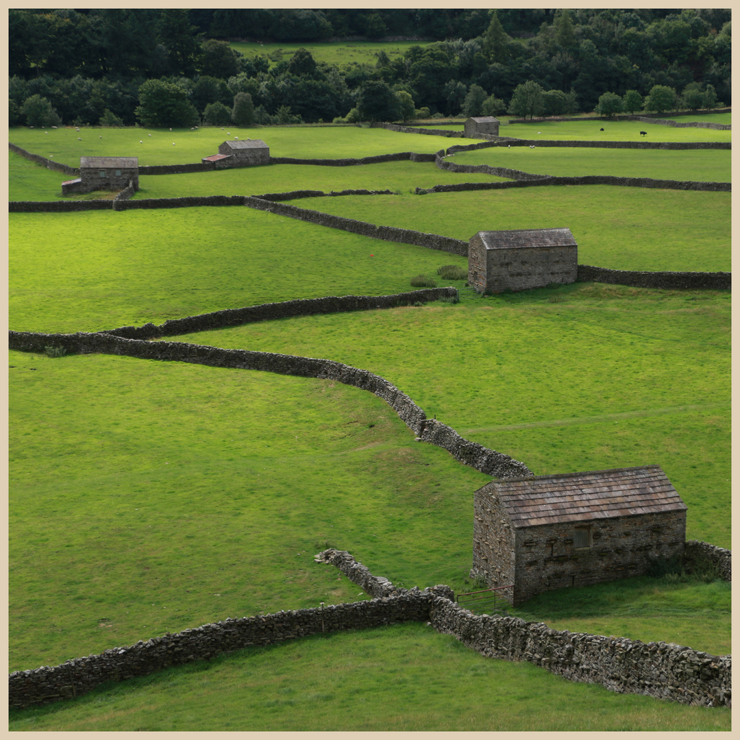 barns near Gunnerside  in swaledale 2