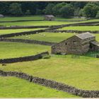 barns near Gunnerside in swaledale