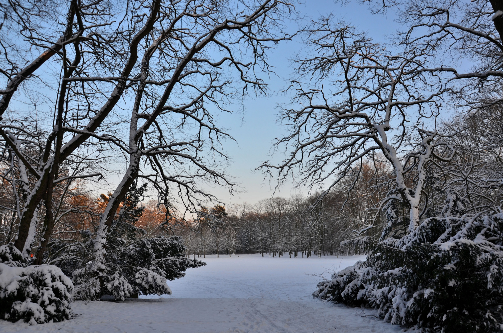 barnstorfer wald im winter