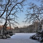 barnstorfer wald im winter