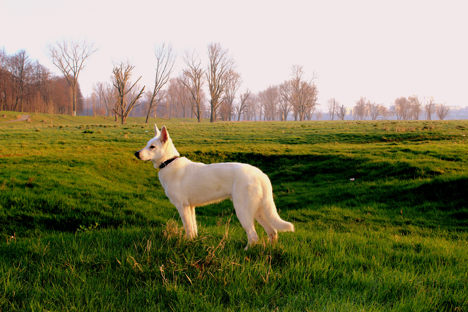 Barny on River