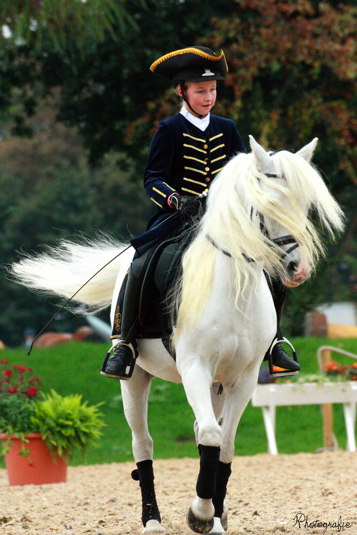 Barock zu Gast auf der Verdiana 2011