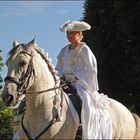 Barockes Reiten 2012