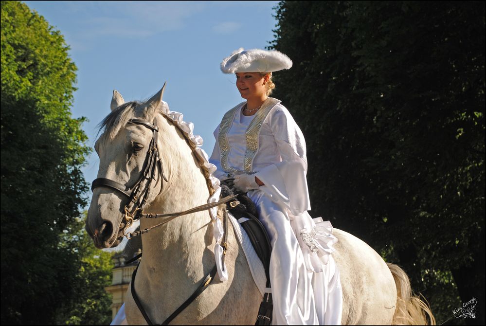 Barockes Reiten 2012