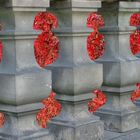 Barockgarten Großsedlitz - Herbststimmung