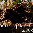 Barockpferd, hengst, pferd, pre