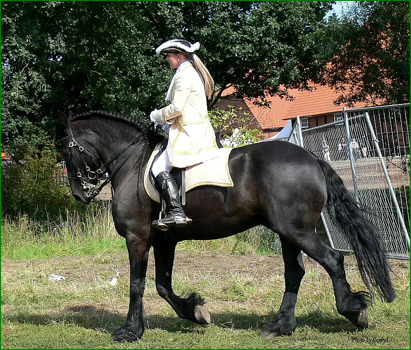 Barockreiten Foto &amp; Bild kunstfotografie &amp; kultur