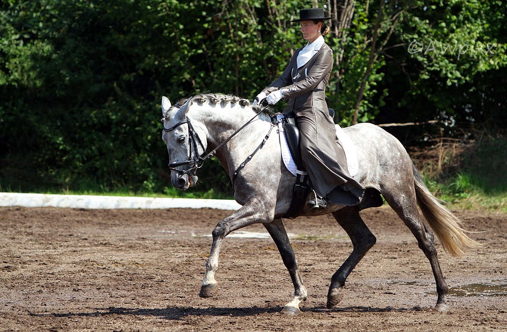 Barockreiten in Heimsheim 2010