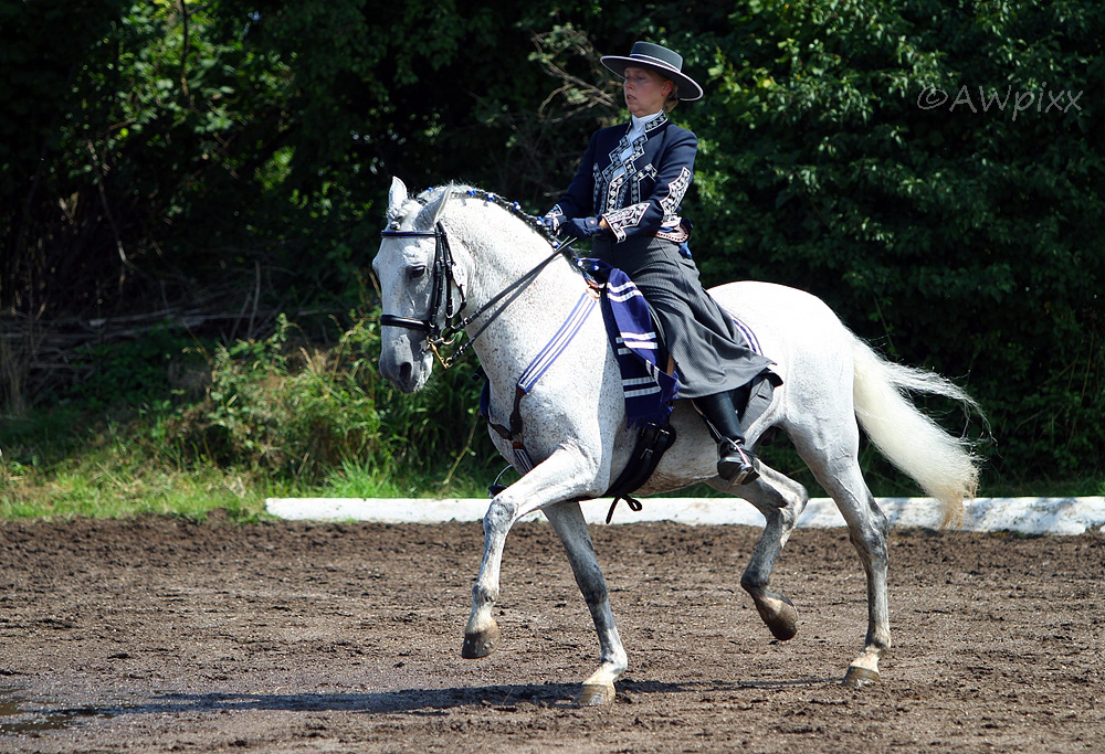 Barockreiten in Heimsheim 2010 No.2