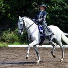 Barockreiten in Heimsheim 2010 No.2