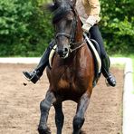 Barockreiten in Heimsheim 2010 No.3