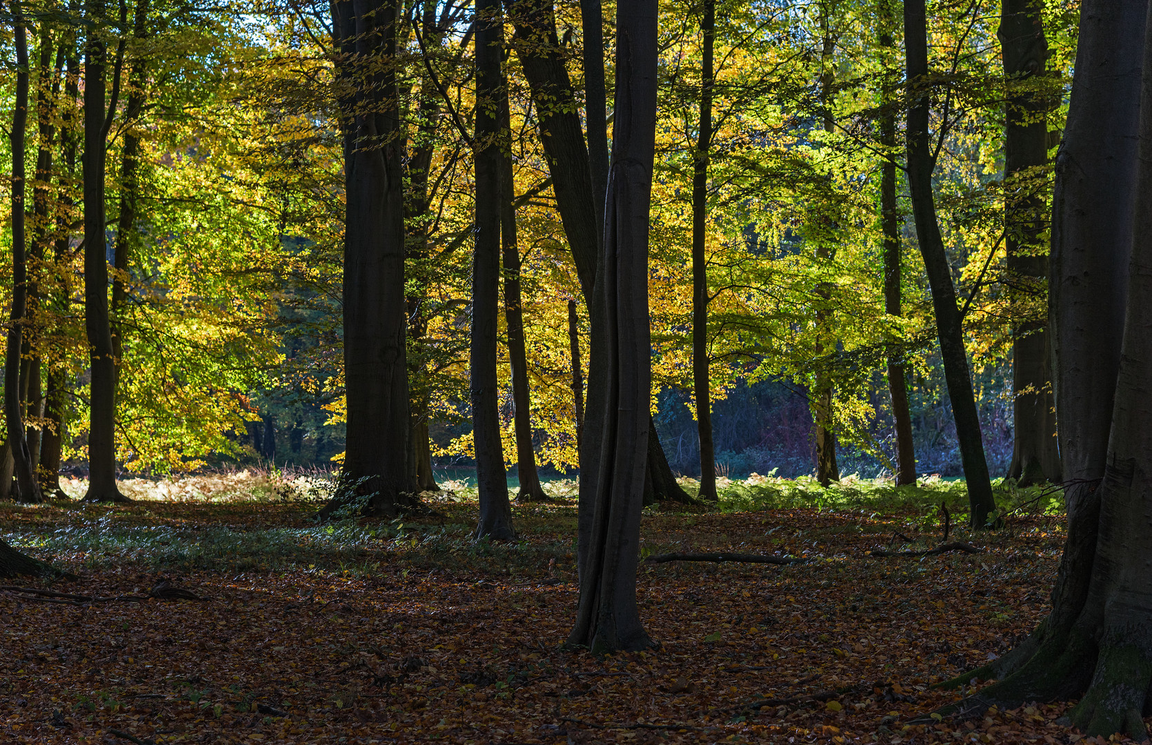 Barockschloss Ludwigslust und Schlosspark in Mecklenburg-Vorpommern. 