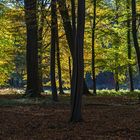 Barockschloss Ludwigslust und Schlosspark in Mecklenburg-Vorpommern. 