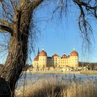 Barockschloss Moritzburg