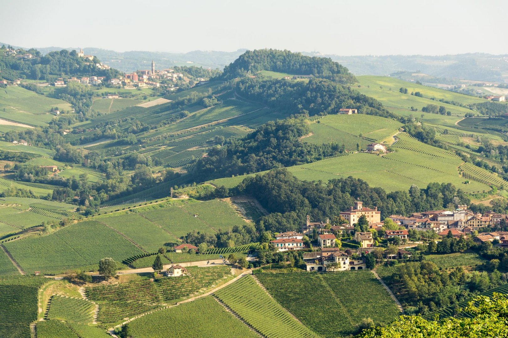 Barolo