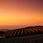 Barolo terra dipinta